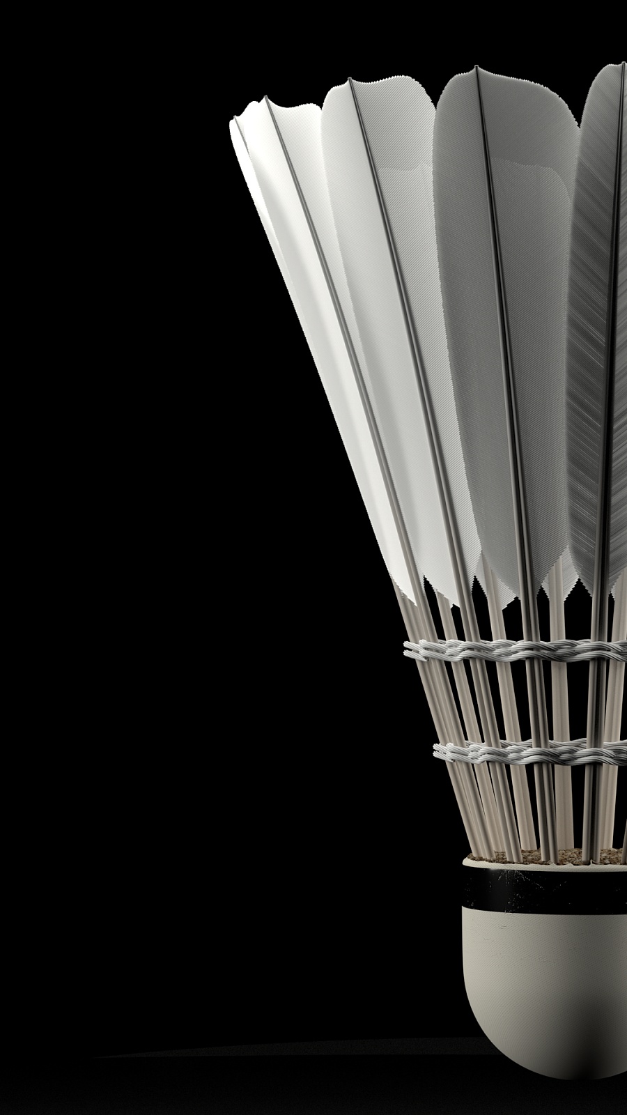 是各个赞助 是各个赞助